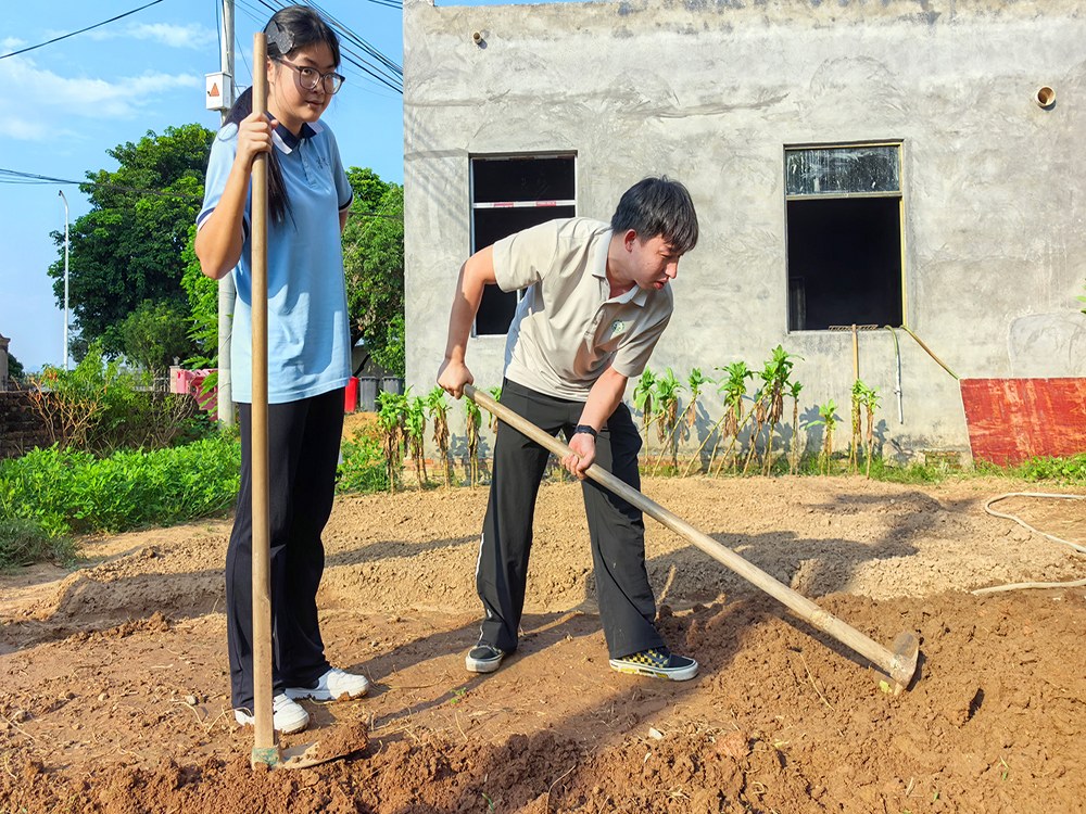 茂名青少年叛逆励志教育学校具体位置与择校参考