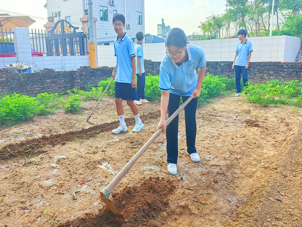 茂名正规孩子叛逆全封闭学校具体位置在哪